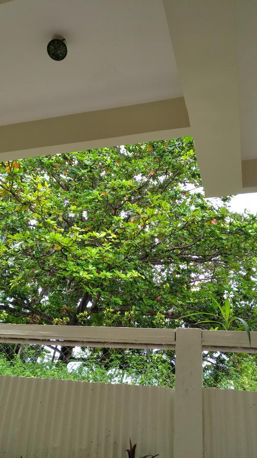Manuela Resort Panglao Kültér fotó